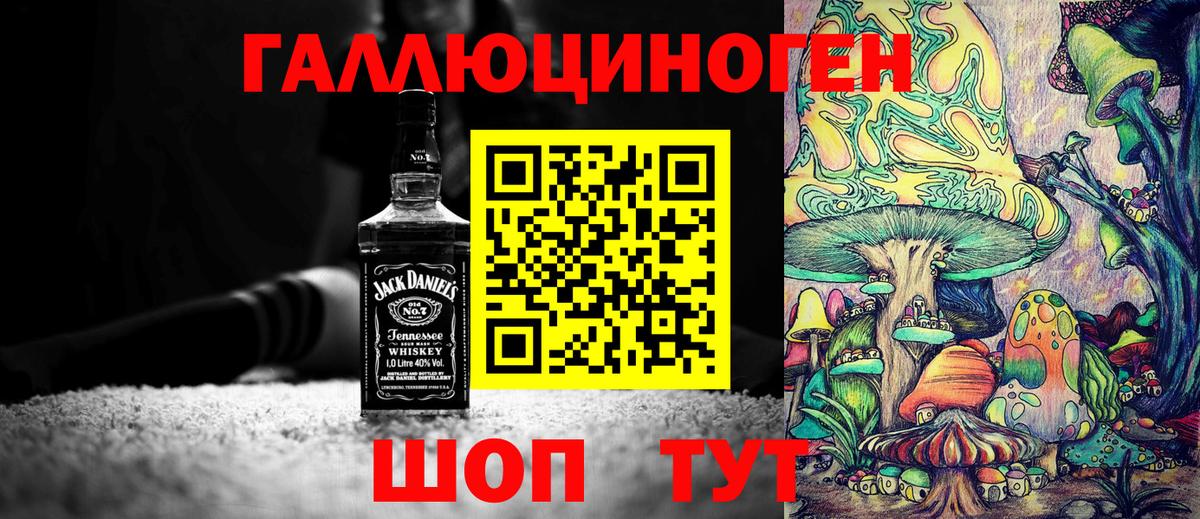 Галлюциногенные грибы Psilocybine cubensis Королёв