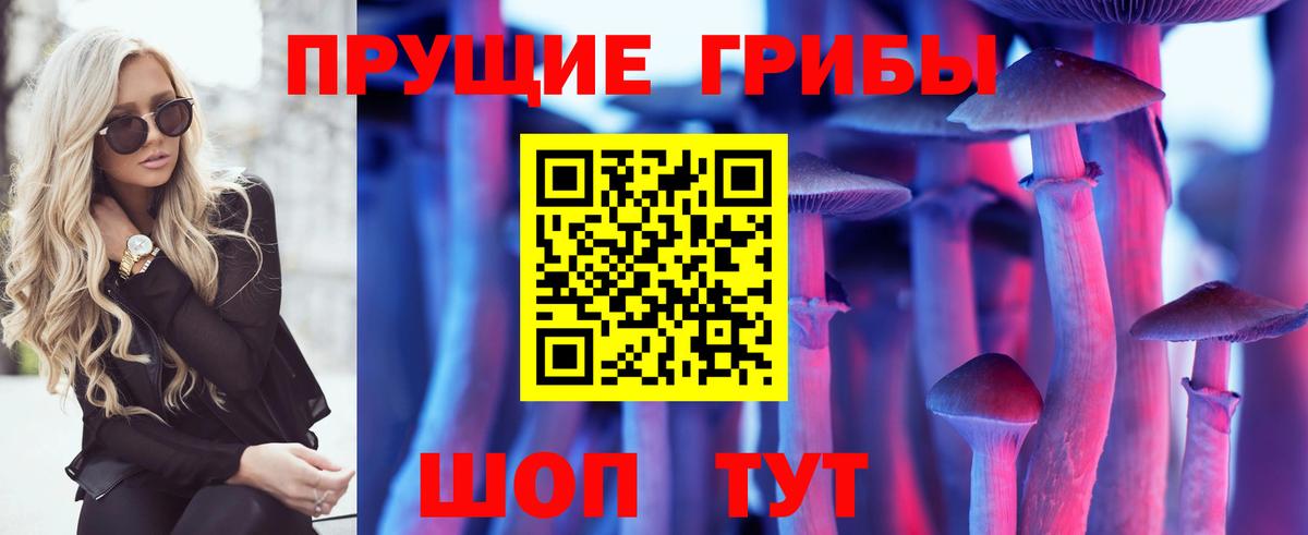 Королёв  Галлюциногенные грибы мухоморы  Вход с VPN 